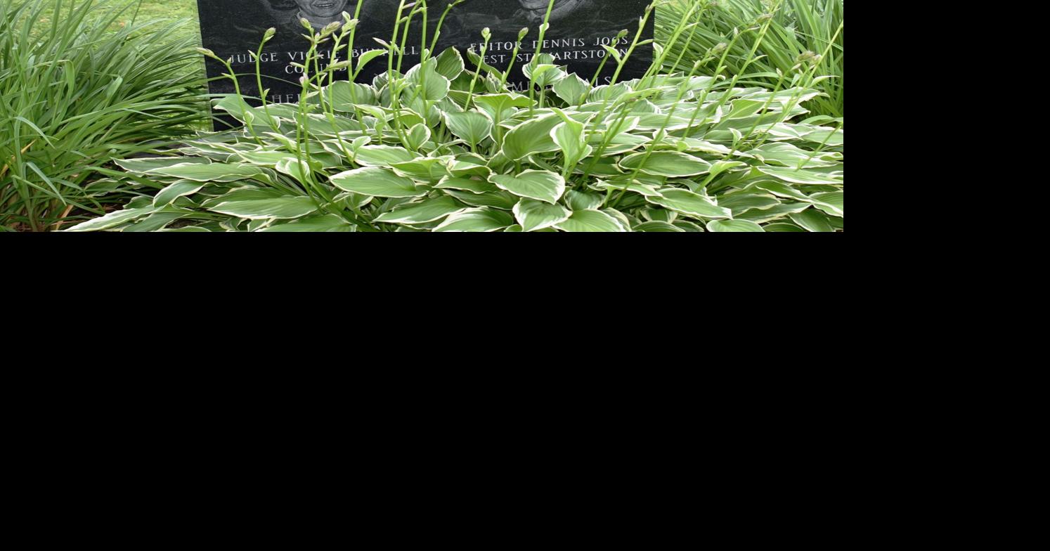 London film execs scouting Colebrook for miniseries on 1997 Carl Drega