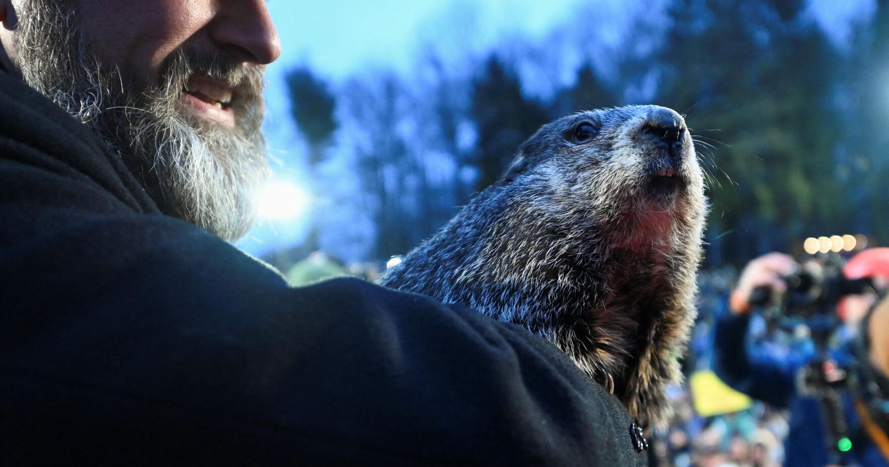 Groundhog Day: Punxsutawney Phil predicts an early spring - Vimarsana News