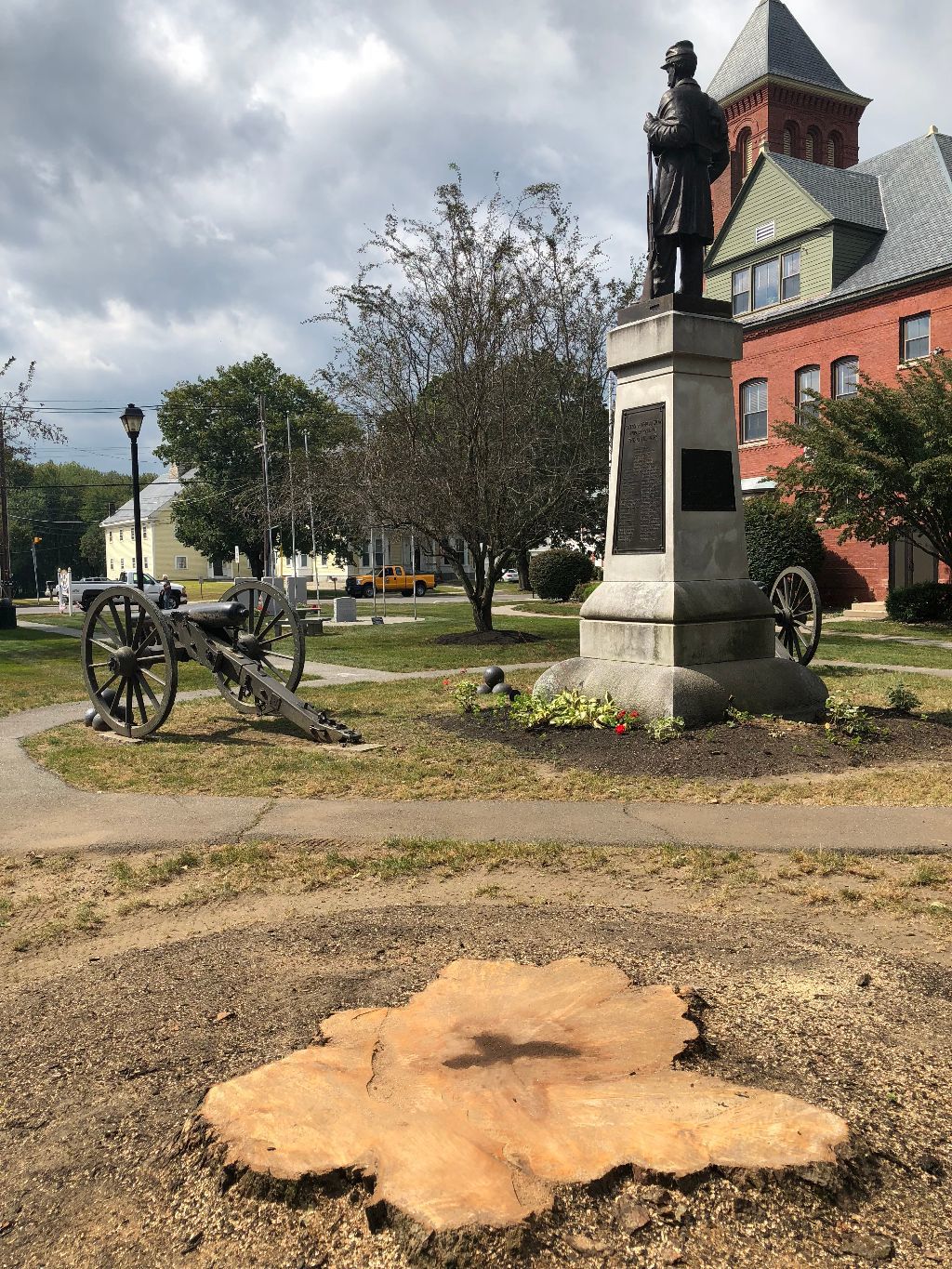 Plaistow mourns death of oldest park tree History