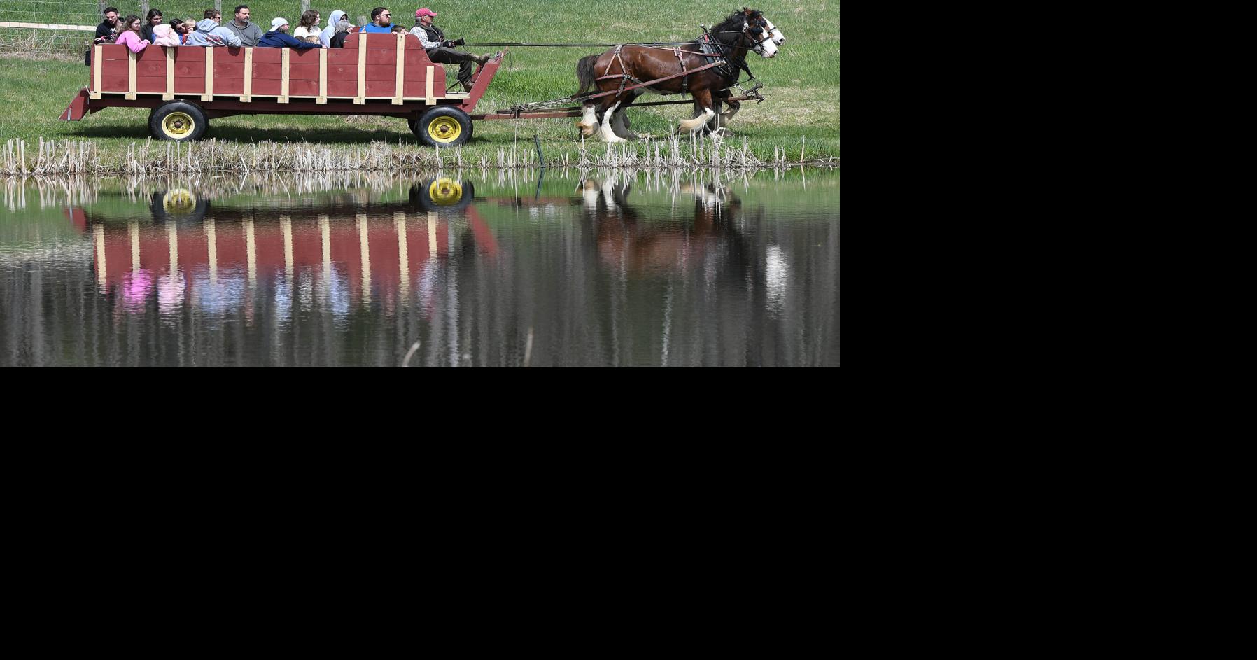Fun on the farm in Lee