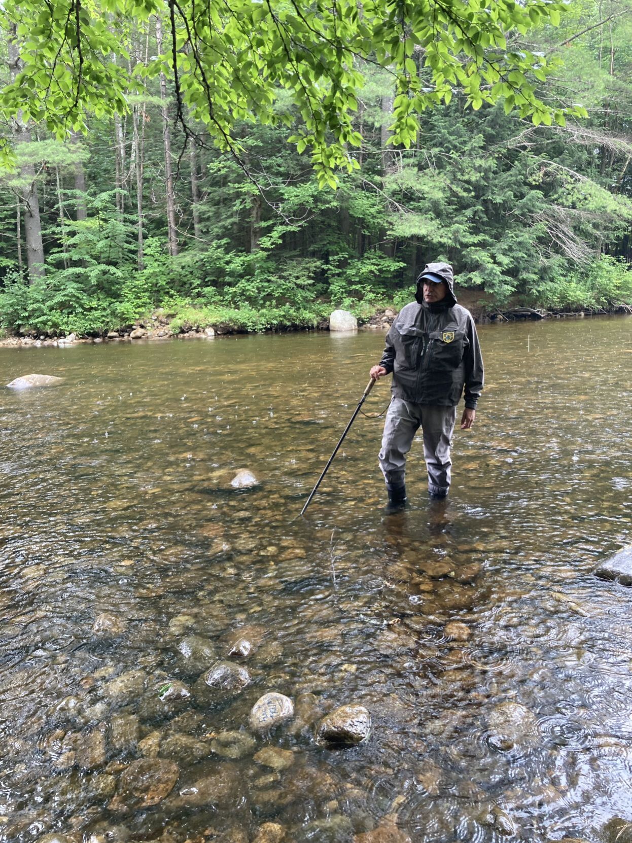 Fly Fishing Small NH Streams 