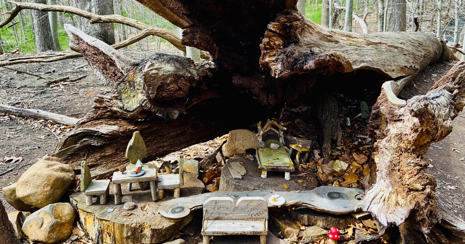 She made a fairy trail for her autistic son; now it's a public destination | Back Page - Vimarsana News