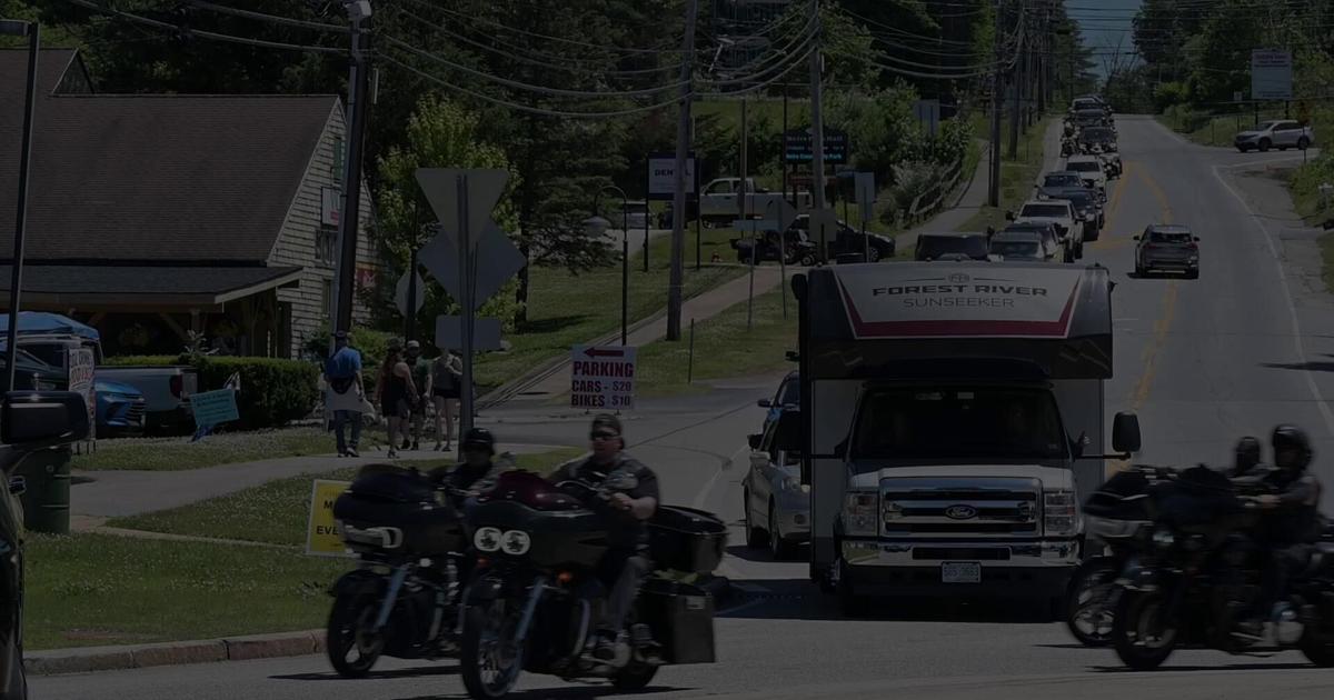 From boxing to rides with pets, Laconia Motorcycle Week is more than just a rally