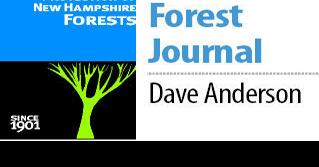 Forest Journal: The doctor's prescription: Take a hike - Vimarsana News