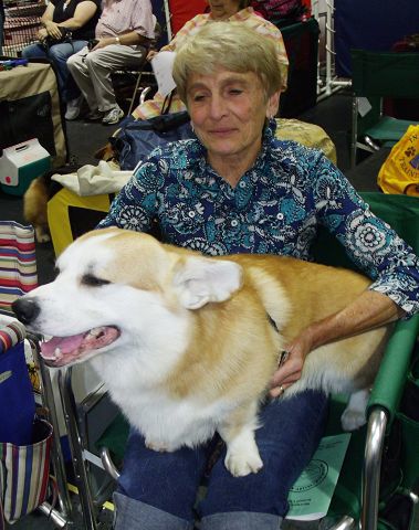 Obedience skills on display at club event Animals unionleader