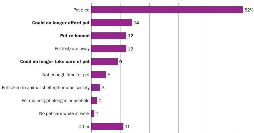 People are giving up pets. Blame inflation. | Animals | unionleader.com