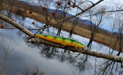 Andy Schafermeyer's Adventures Afield: Still casting my trusty yellow perch  lure, Adventures Afield