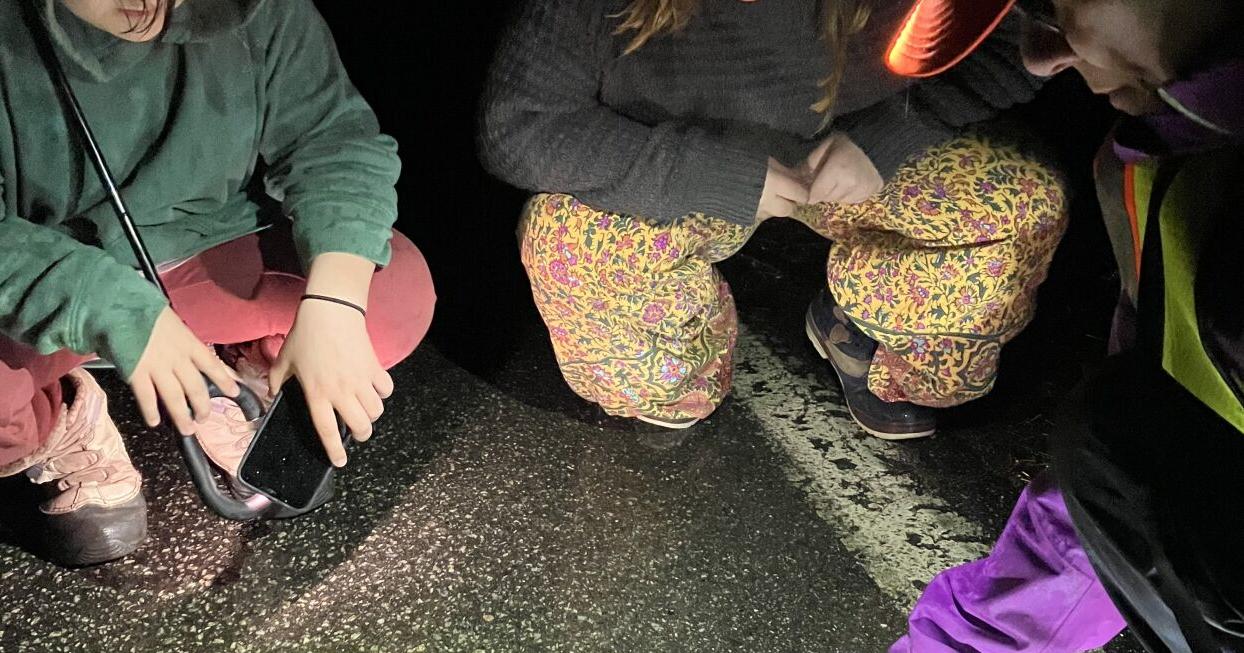 Volunteer army's mission is to protect NH amphibians - Vimarsana News