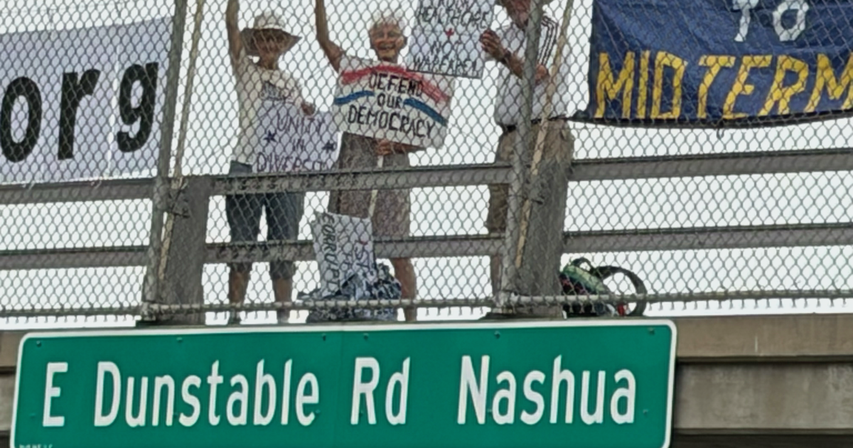 Police ticket two ‘Bridge Brigade' leaders for violating sign law
