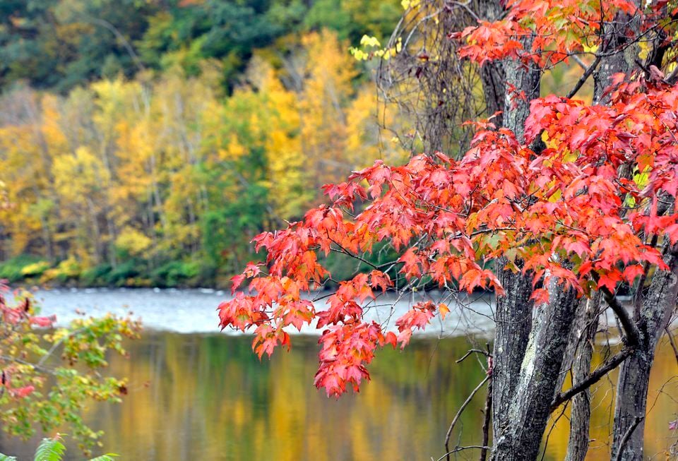 St. John Fisher College Athletics - Autumn in New York It's good