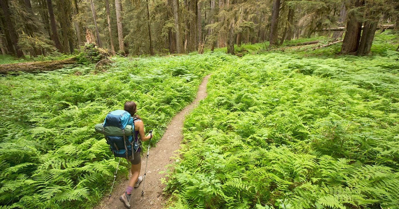 Running or hiking solo? 9 ways to stay safer while exercising alone - Vimarsana News