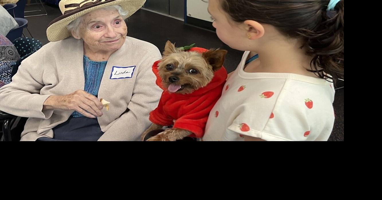 Furry friends bring joy to NHSPCA's Alzheimer's Cafe