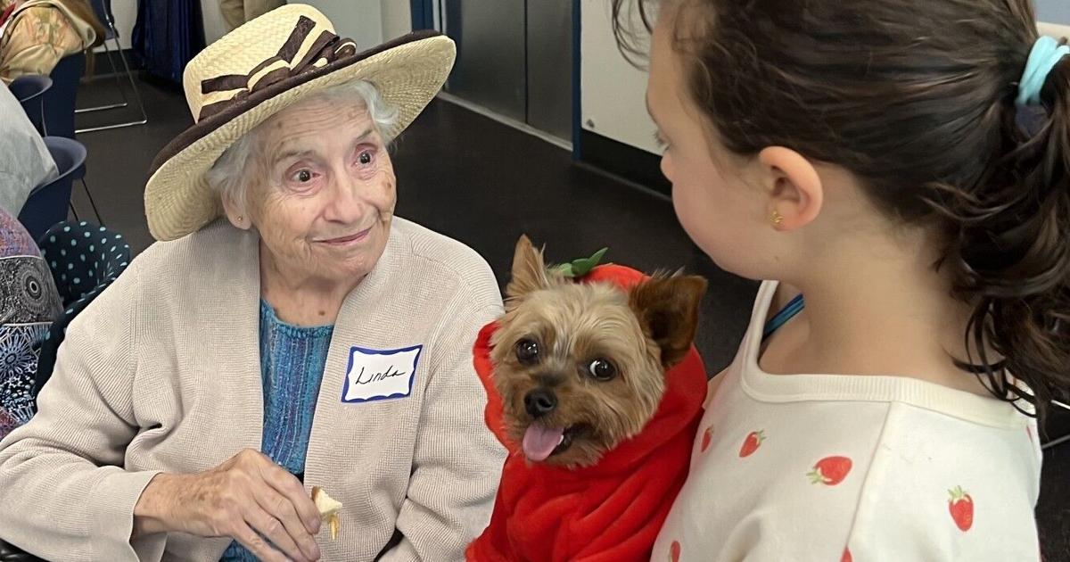 Furry friends bring joy to NHSPCA's Alzheimer's Cafe