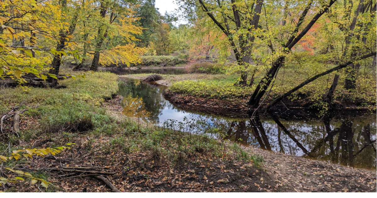 Purchase of 1,300 acre wildlife habitat goes before Executive Council