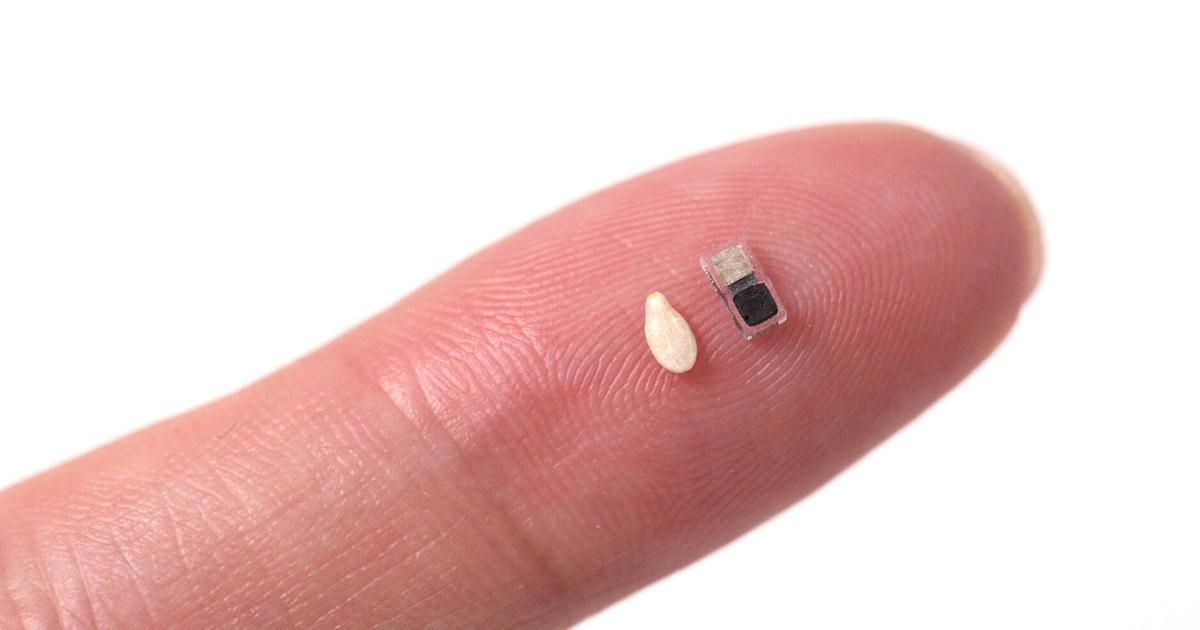 Engineers develop tiny pacemaker, smaller than a grain of rice | Health ...
