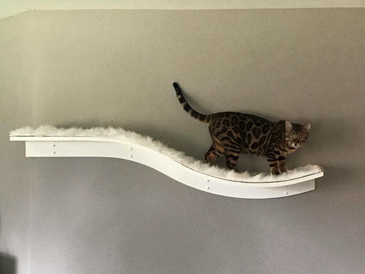 Pet Furniture Has Come A Long Way From Teal Carpeted Cat Towers