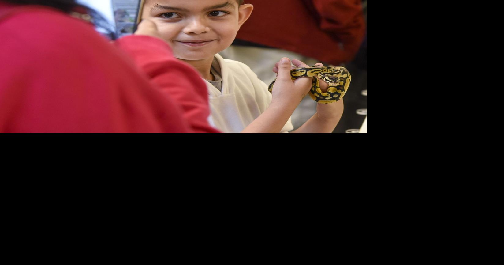 Reptile lovers from all over New England head to the reptile expo