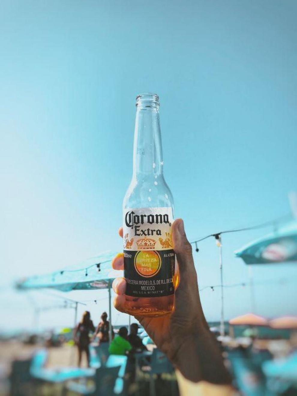‘Corona beer’ sees surge in Google searches because of coronavirus ...