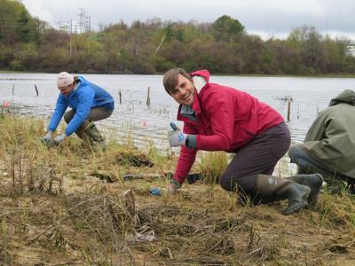 Cutts Cove restoration