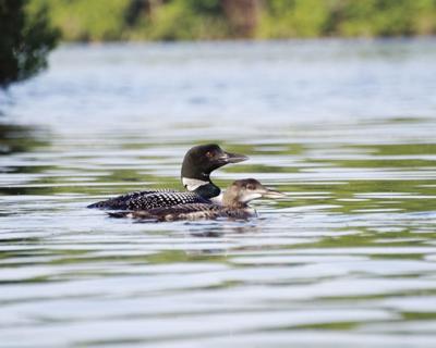 Former Loon Farmer Had His Moment On The Big Screen With Role In