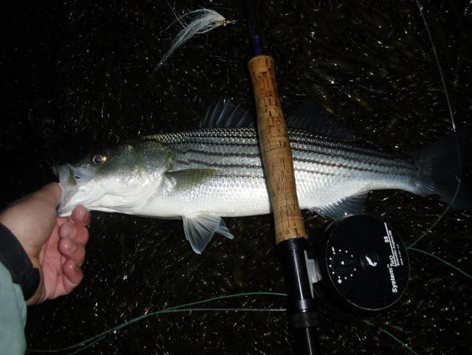 Andy Schafermeyer's Adventures Afield: Striper fishing always a