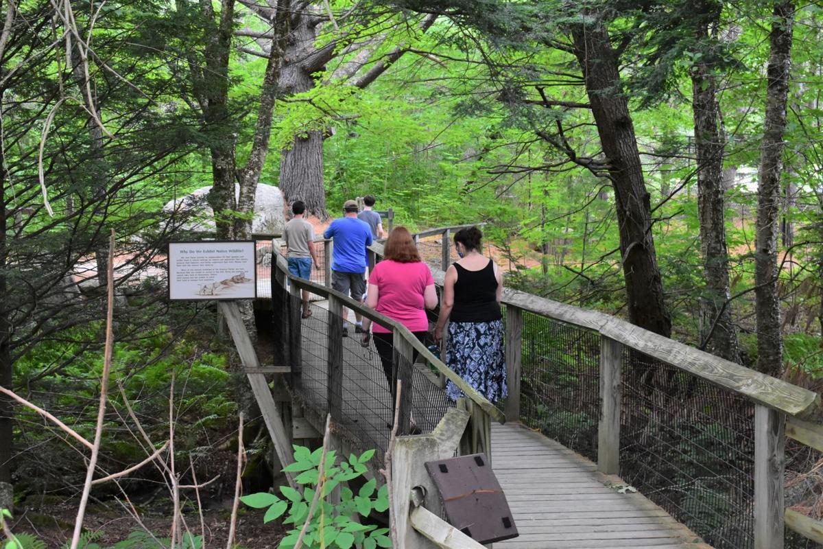 Squam lake science center coupon