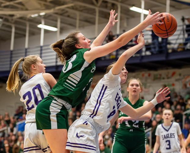 Div. IV girls championship