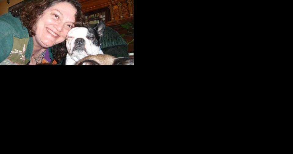Cats and dogs get dementia. Here's how to spot signs and support pets. - Vimarsana News