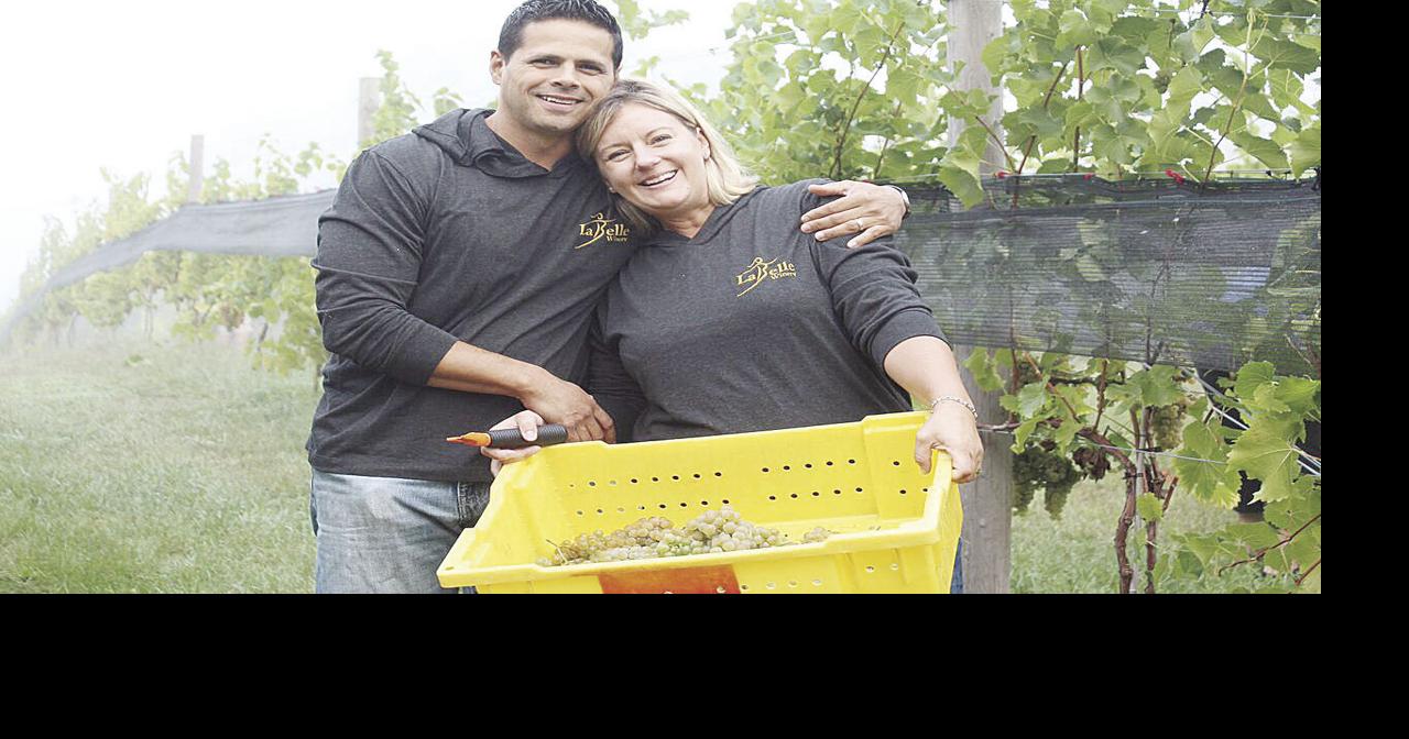 LaBelle Winery now using grapes from its Amherst vineyard for wine