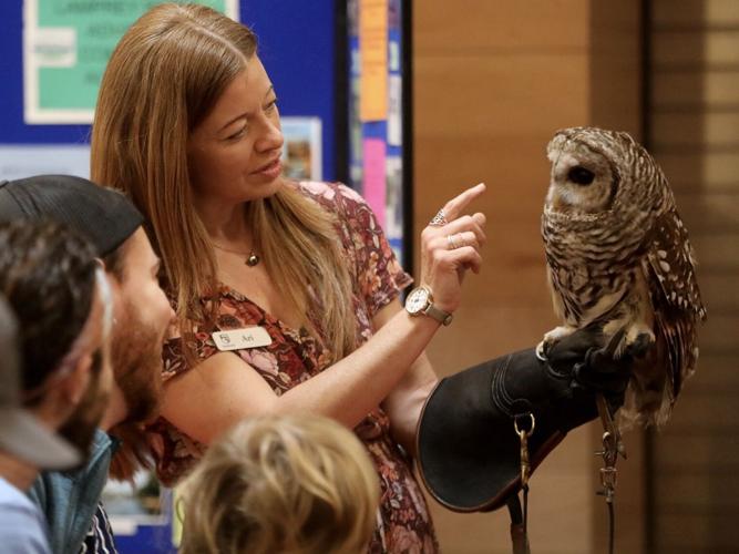 From reptiles to raptors at TurtleFest 2026 at Newmarket Jr./Sr. High School