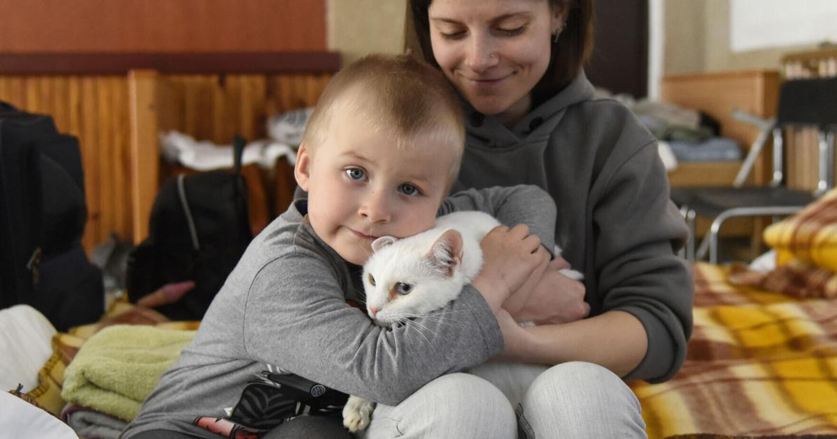 Przekracza granicę: mieszkańcy NH przyjeżdżają do Polski na pomoc uchodźcom z Ukrainy |  Świat Przekracza granicę: mieszkańcy NH przyjeżdżają do Polski na pomoc uchodźcom z Ukrainy |  Świat