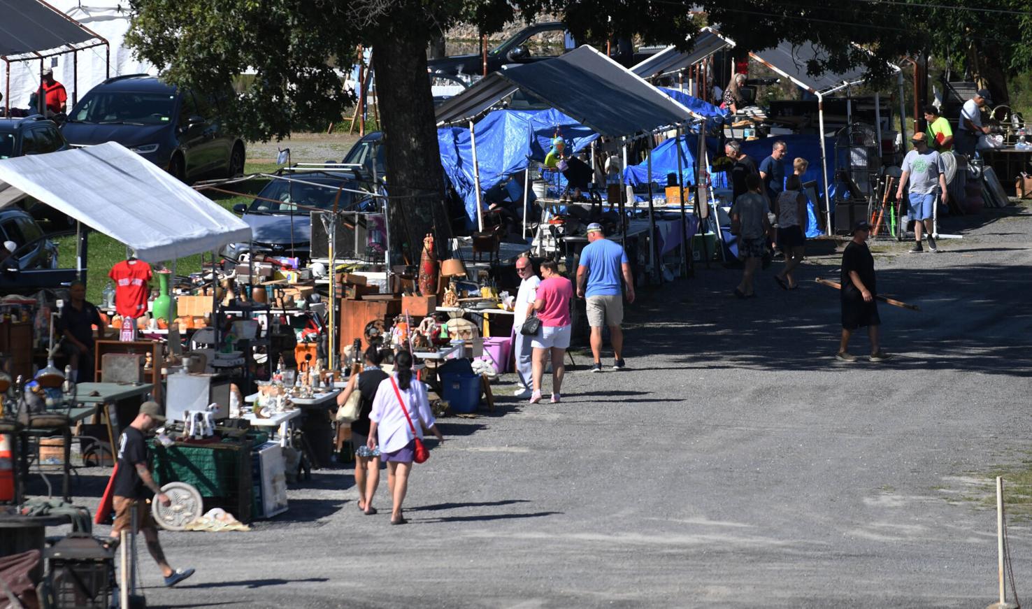 A grass menagerie For three decades, Londonderry farmstead home to