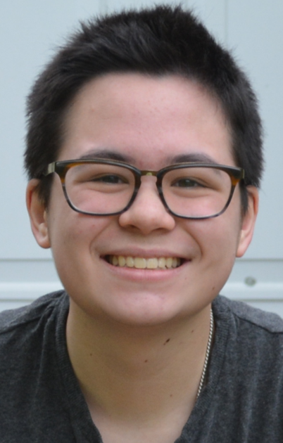 Max Henson: Stubborn optimism in the face of climate change - The Union Leader