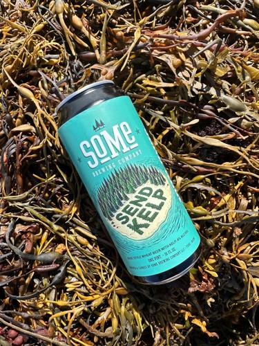 Send Kelp beer