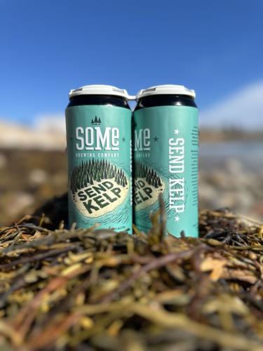 Send Kelp beer