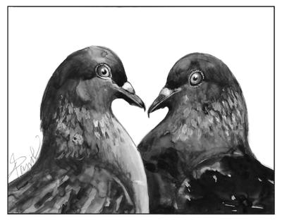 Outside Story - pigeons