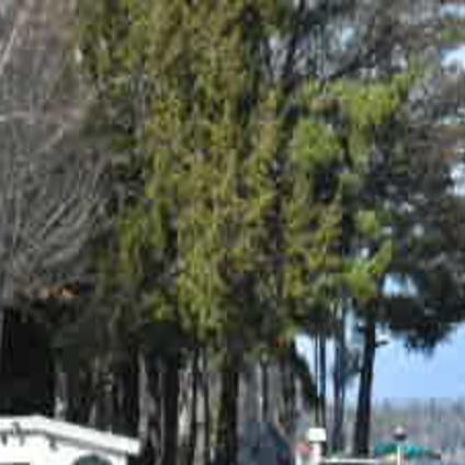 Flipping out, image size:1200x1200