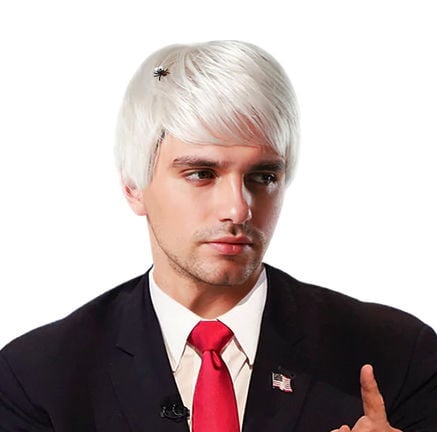 Debate Fly Wig inspired by Mike Pence s debate appearance