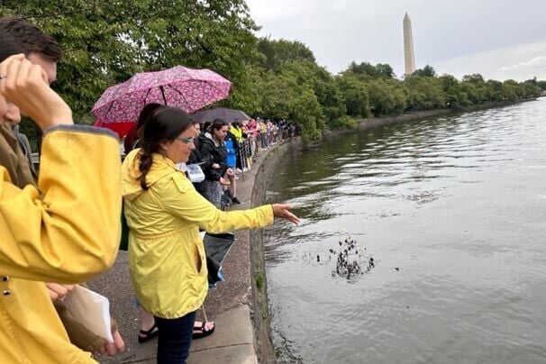 LARGER UMBRELLA NEEDED AS RAIN STRIKES AGAIN - Kansas City Monarchs