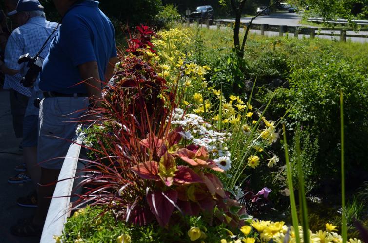 Flowers, sign now greet visitors to Amherst Outdoors