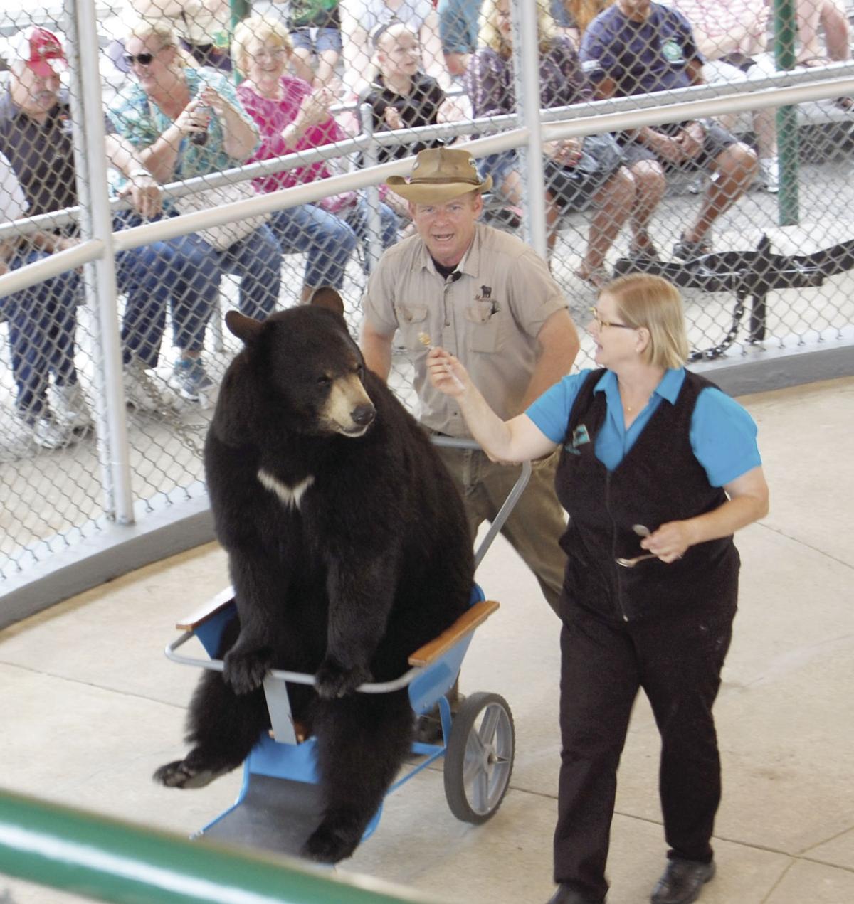 Top 10 Things To Do In The White Mountains Top 10 Things
