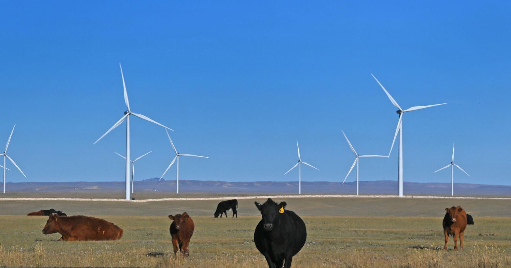 'Act now': IPCC climate report appeals to all to salvage 1.5C goal