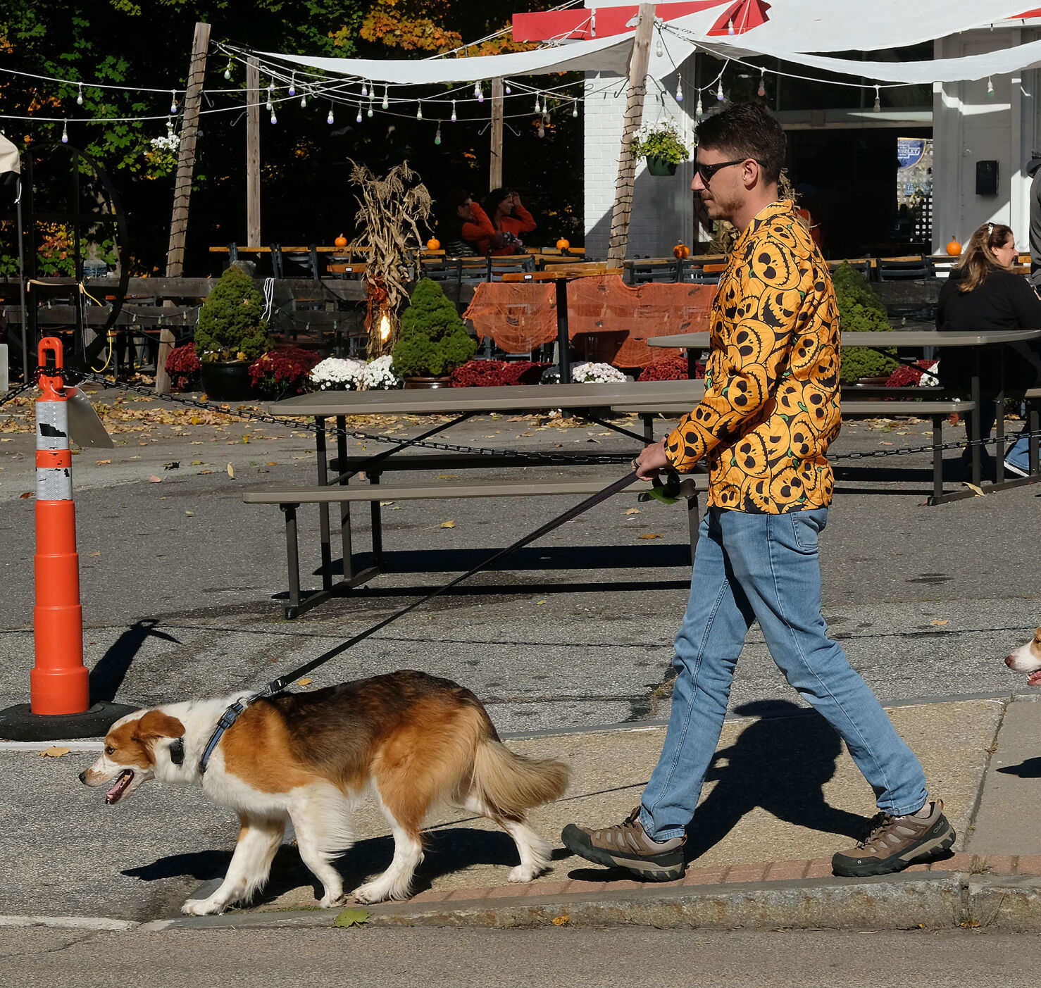 Milford Pumpkin Festival