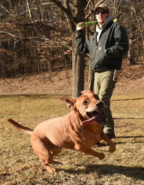 Dog Days Of Almost Spring Animals Unionleader Com