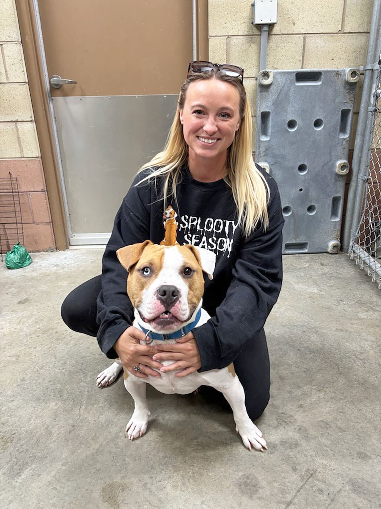 Pawtucket pup Bentley in search of forever home | News | valleybreeze.com