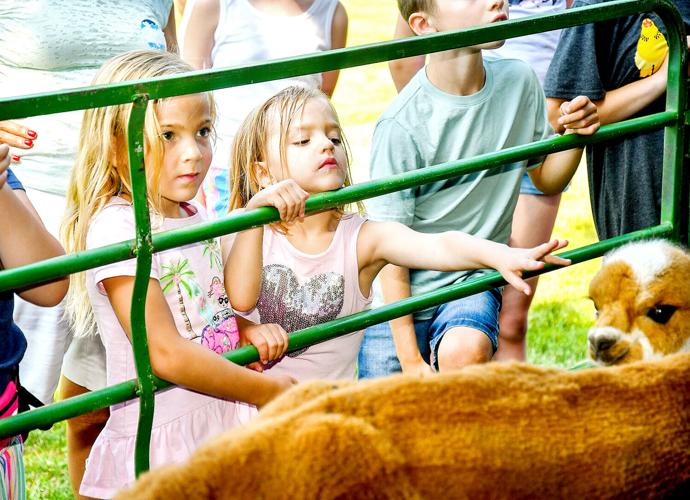 Meet Farmers and Alpacas program at Greenville Library | | valleybreeze.com