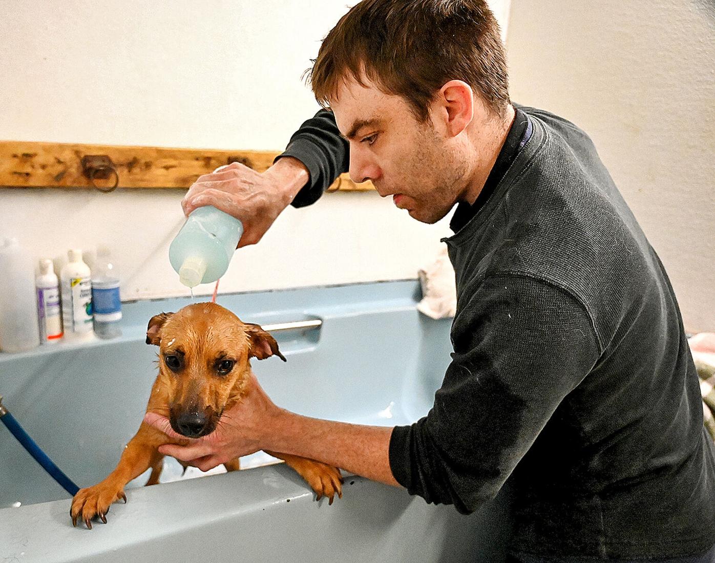 SMI Charity Dog Wash-1.jpg