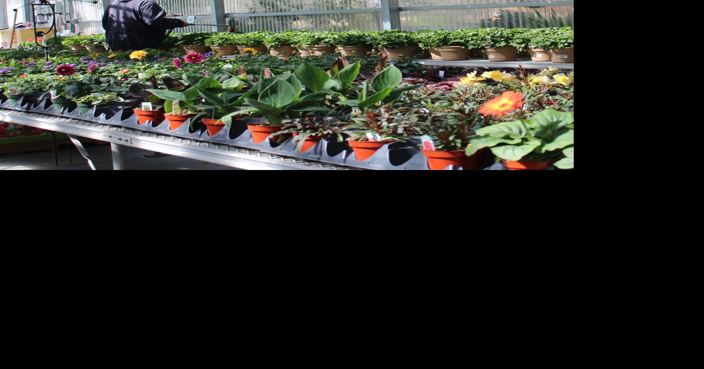 Step into spring at Northland Farm and Garden Center | Sponsored ...