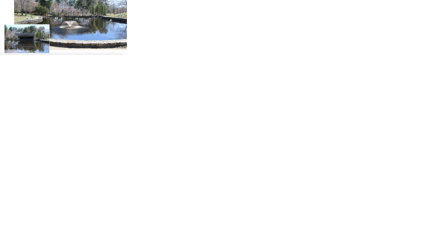 Bid awarded for creation of Diamond Hill reflection pond - Vimarsana News