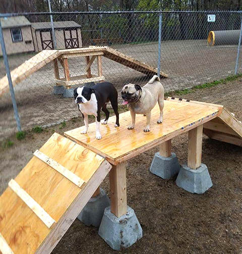 dog park ramp